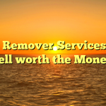 Gunk Remover Services – Is it Well worth the Money?