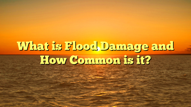 What is Flood Damage and How Common is it?