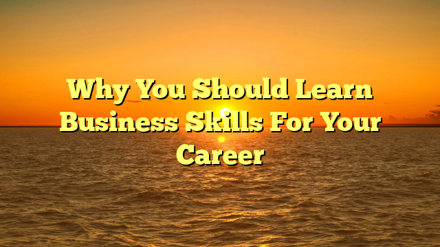 Why You Should Learn Business Skills For Your Career